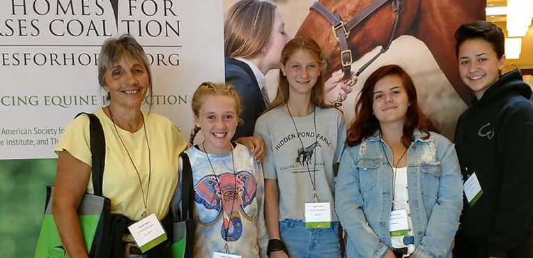 Volunteers at Hidden Pond Equine Rescue