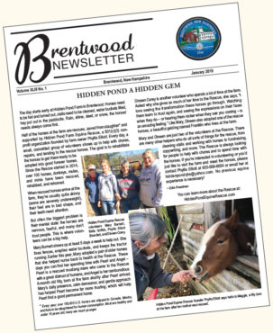 Brentwood Newsletter