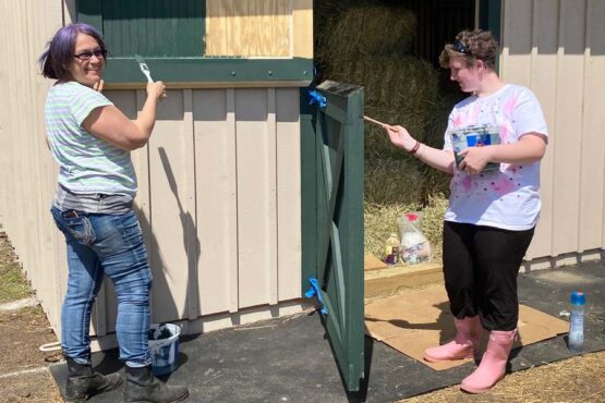 Volunteers painting barns
