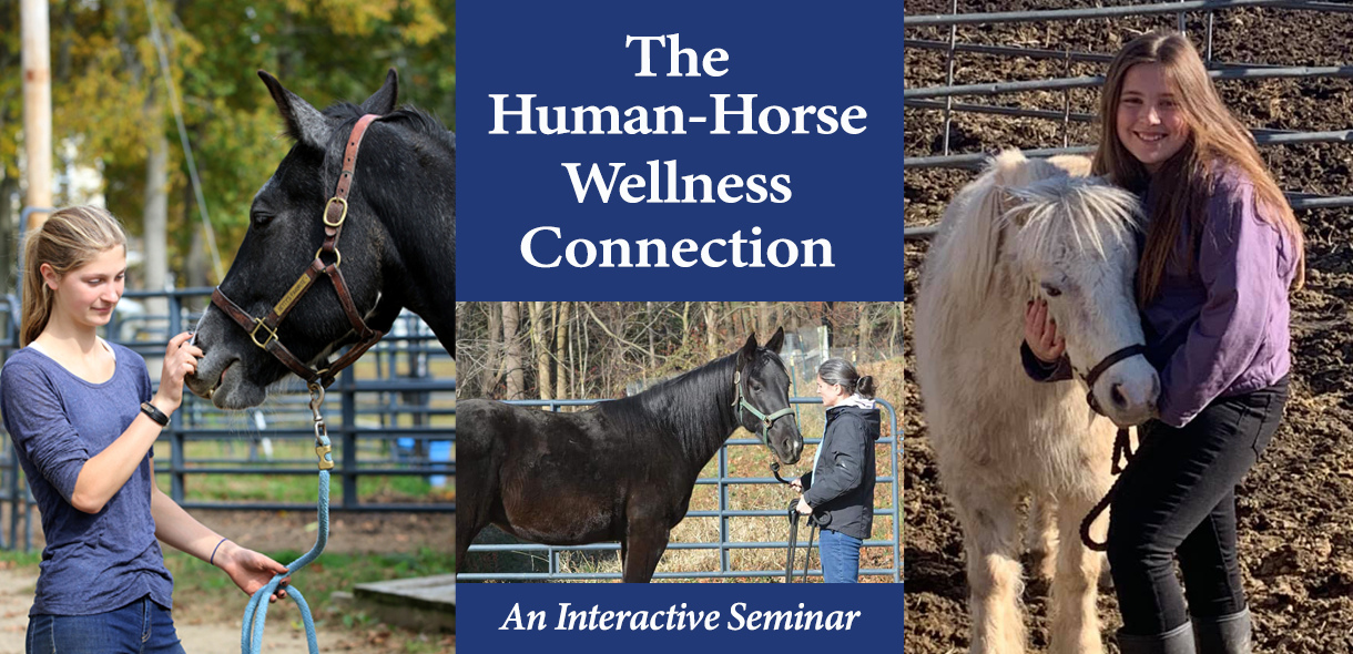 The Human-Horse Wellness Connection