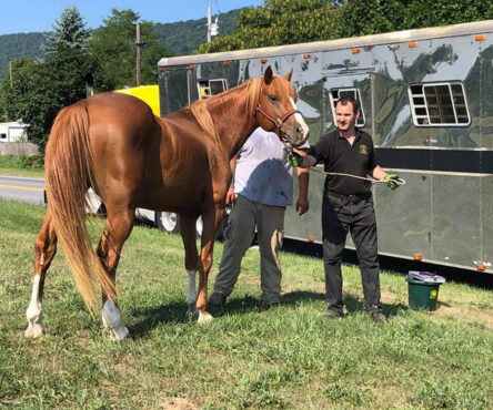 Tucker's arrival at Hidden Pond