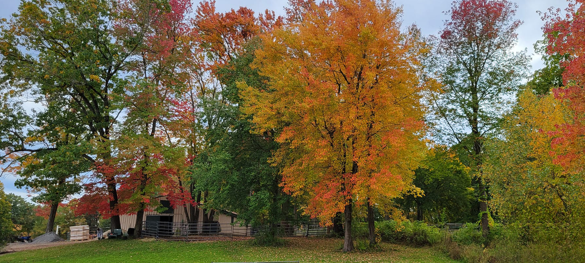 Fall at the farm
