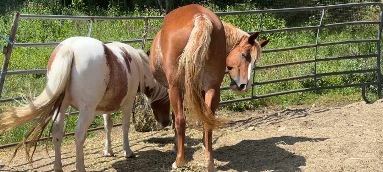 Maggie and Louise